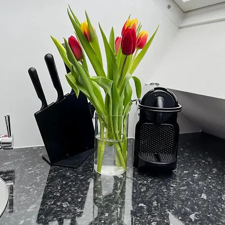 Stilvolles City-apartment Daire Graz