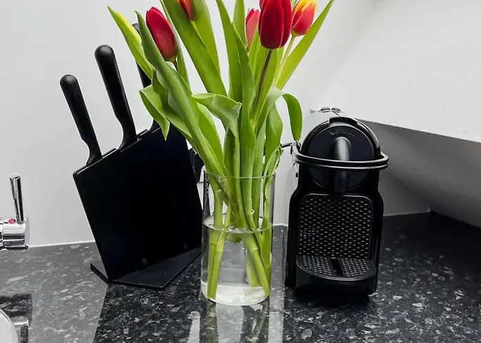 Stilvolles City-apartment Daire Graz